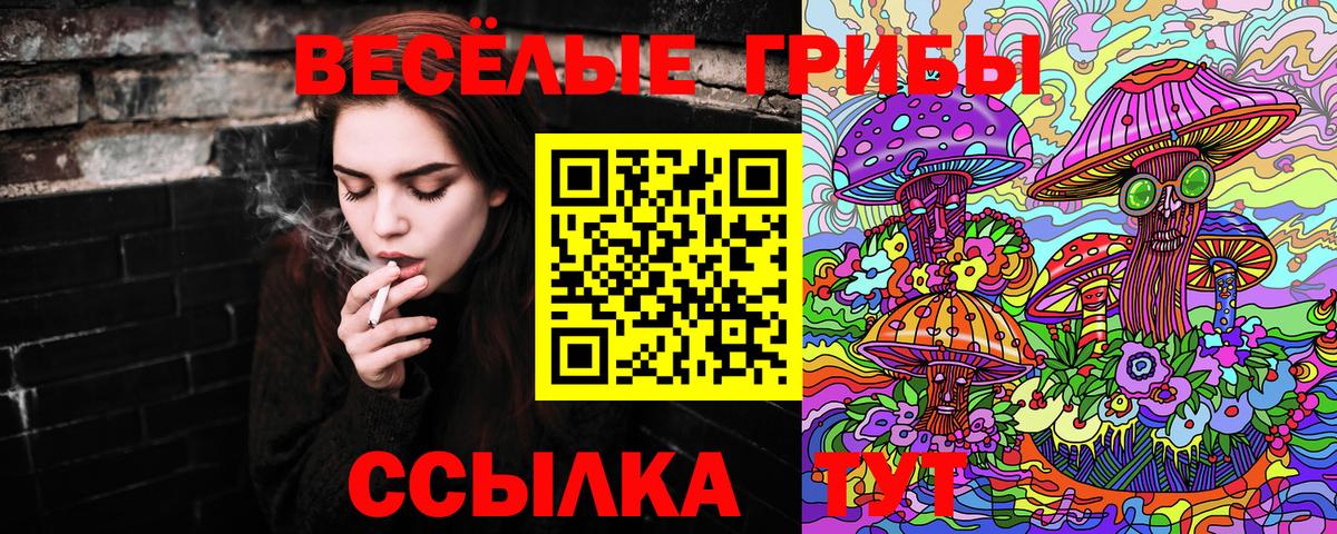 Псилоцибиновые грибы мухоморы  Вход с VPN  Псилоцибиновые грибы Cubensis  Донской 